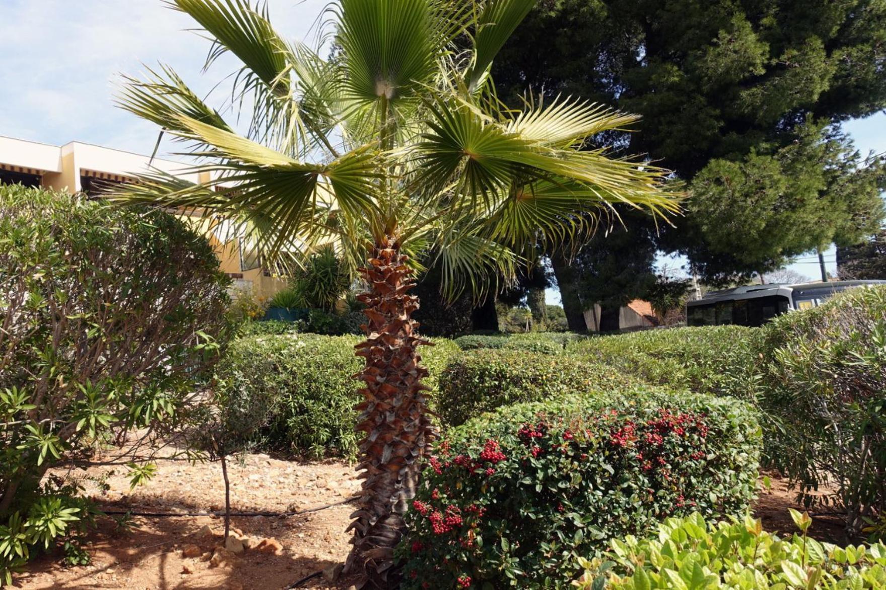 Les Jardins De Bandol, Piscine Privee, Belle Vue Mer Bagian luar foto